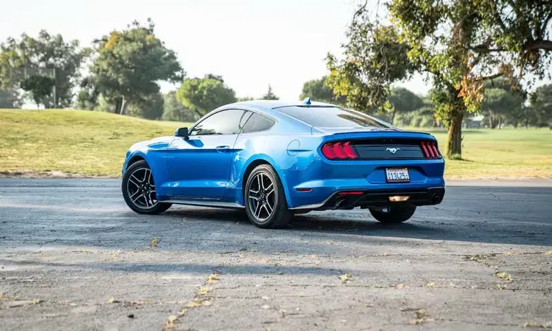 Car Image 4