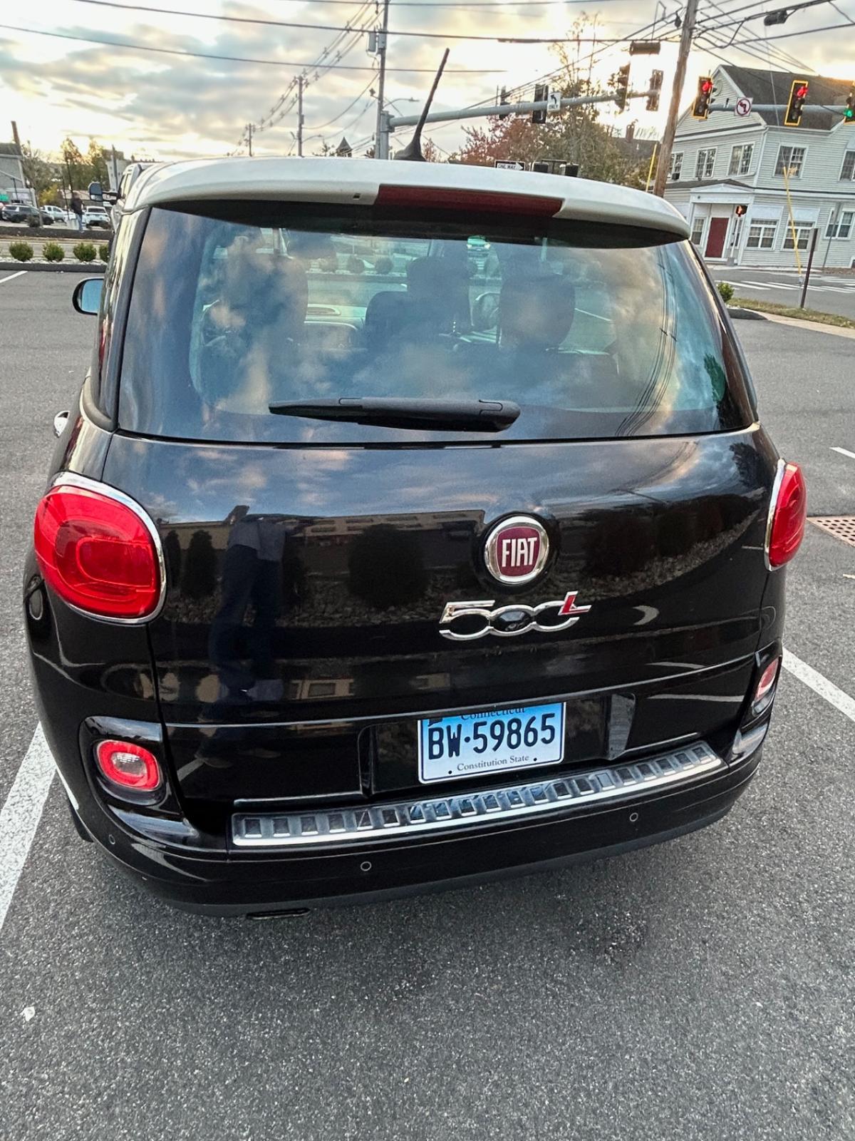 2014 Fiat 500L 4