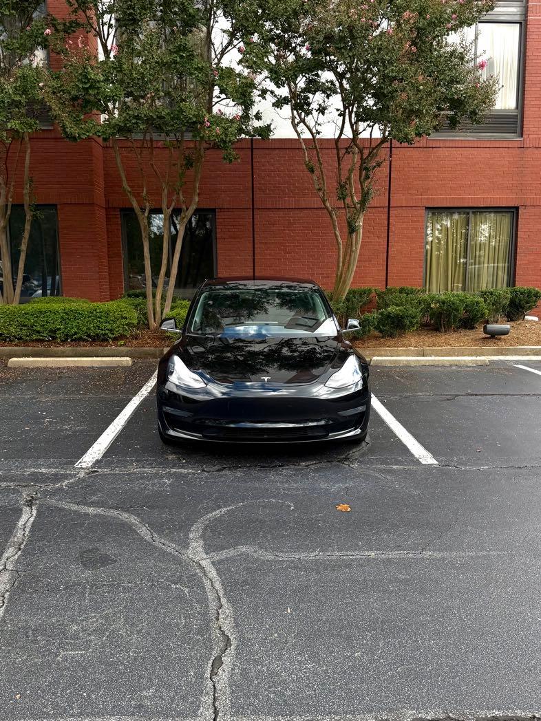 Tesla Model 3 2019