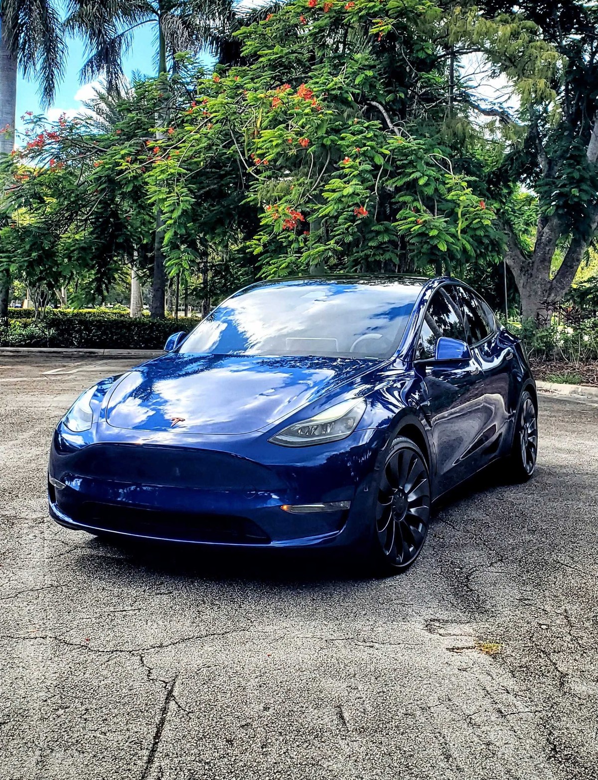 Tesla Model Y 2024