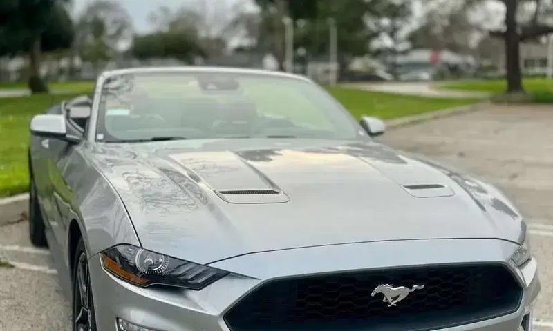 Car Image 4